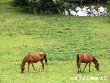 Valle de Basondo, Kortezubi (Bizkaia).